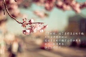 华体会登陆-钢铁骑士碾碎快船，伦纳德超神之夜点亮克利夫兰争冠之路