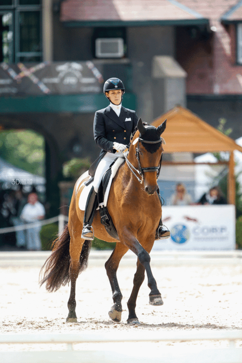 华体会下载-包含美洲马术比赛激战拉开帷幕,阿根廷骑手夺得冠军殊荣的词条 第1张 华体会下载-包含美洲马术比赛激战拉开帷幕,阿根廷骑手夺得冠军殊荣的词条 第1张