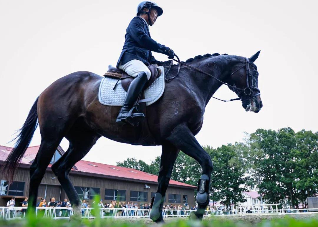 华体会下载-包含美洲马术比赛激战拉开帷幕,阿根廷骑手夺得冠军殊荣的词条 第2张 华体会下载-包含美洲马术比赛激战拉开帷幕,阿根廷骑手夺得冠军殊荣的词条 第2张