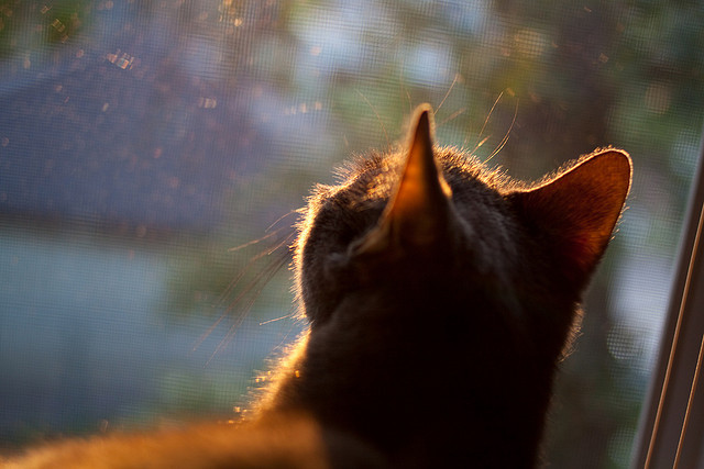 华体会体育-揭秘绝杀之夜，当赛道时速320公里遇见欧冠第93分钟  第1张